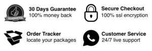guaraanteesecure 1 300x101 1.png